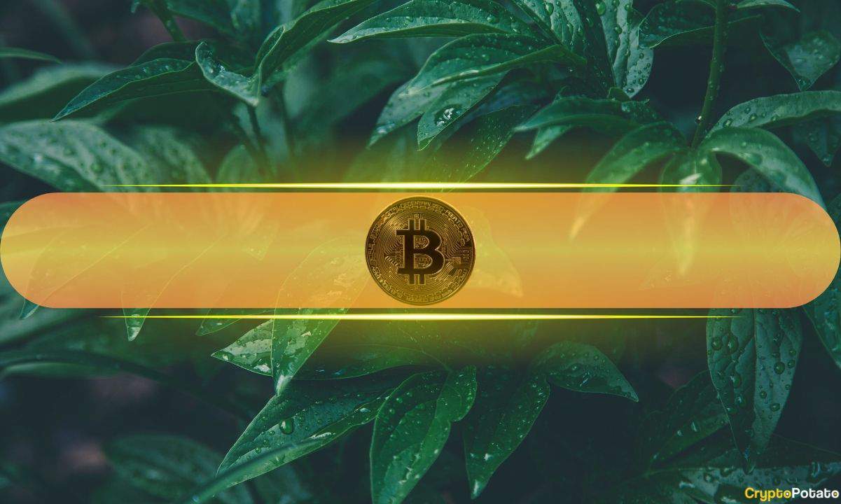 Bitcoin Flashes Bullish Signal That Could Push It to Next Big Target: Analyst