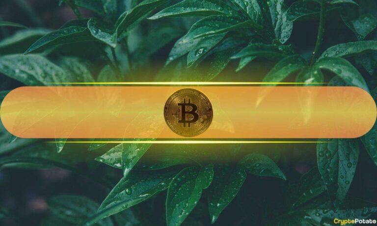 Bitcoin Price Surged to $77K After Trump Signals Major Iran Peace Breakthrough