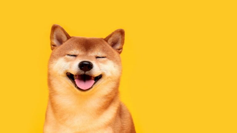 Memecoins dogecoin, shiba inu dive 9% as bitcoin nears $60,000