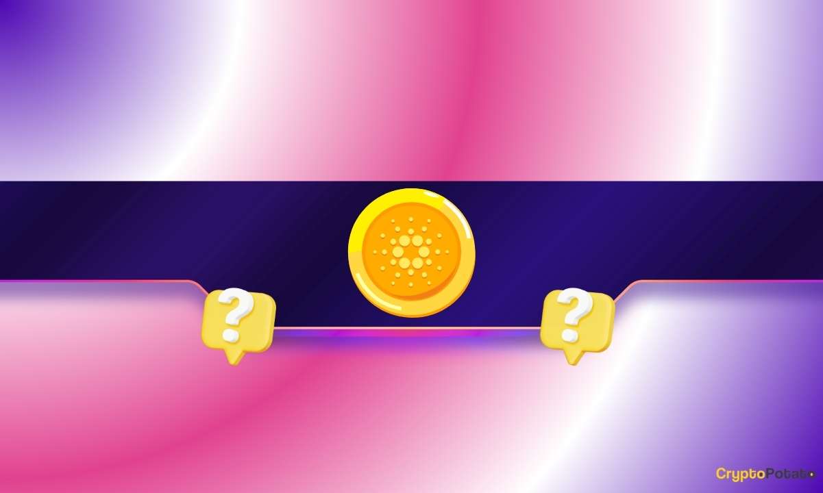 Cardano Metrics Flash Unusual Signals During ADA Sell-Off and Hoskinson’s Break