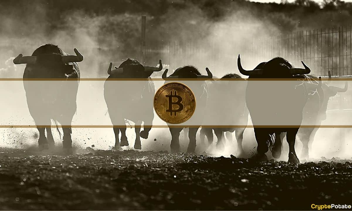 BTC Could Hit Fresh Summer Highs Within Weeks if $73K Holds: Analyst