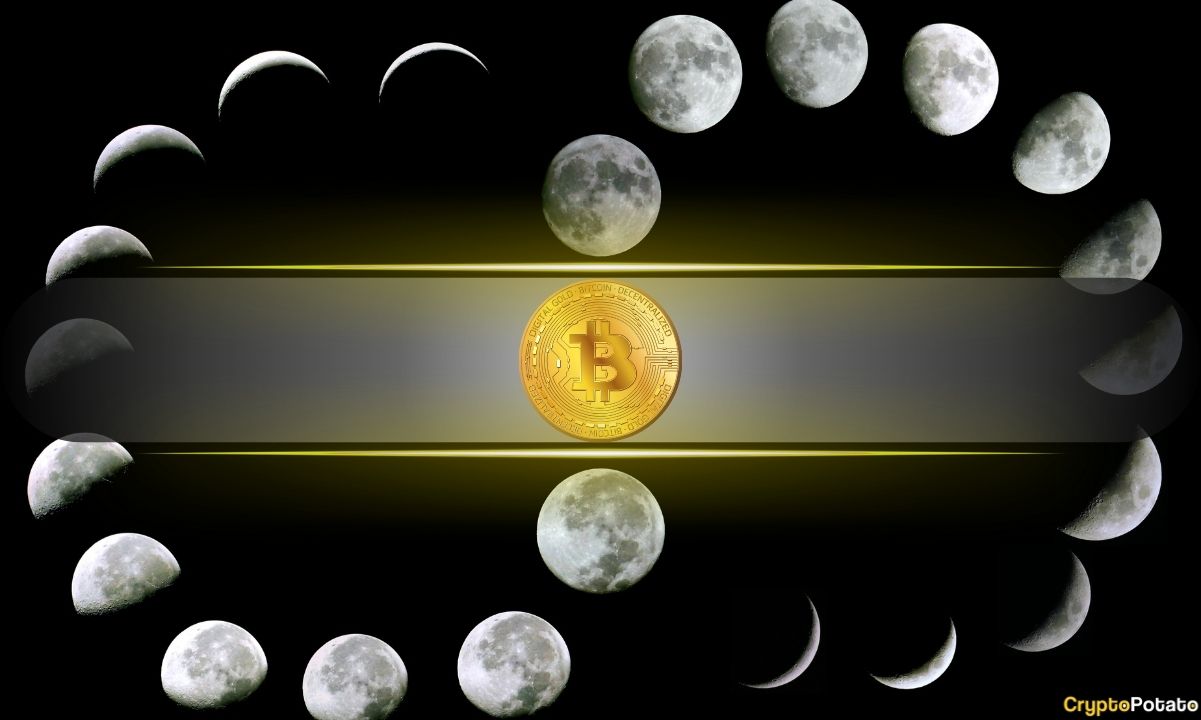 Bitcoin Cycle Timing: Could the Next BTC Bottom Arrive in October 2026?