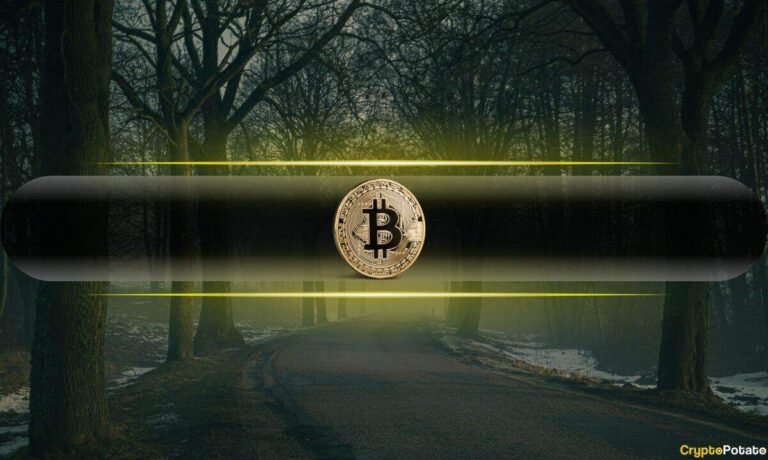 Bitcoin and Gold Are Bleeding – So Where Is the Money Going?