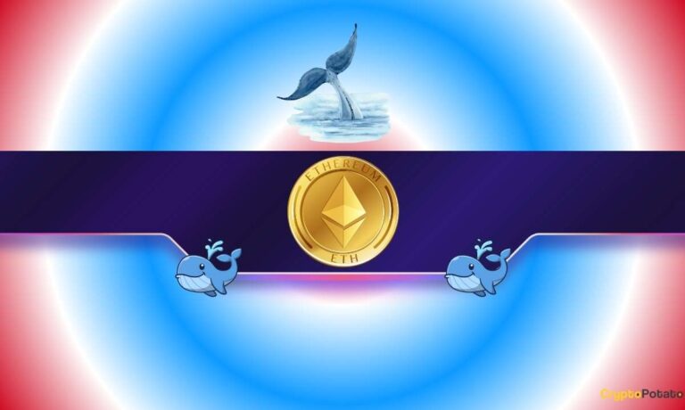 SharpLink Resumes ETH Buying After 8-Month Hiatus but OG Whales Capitulate
