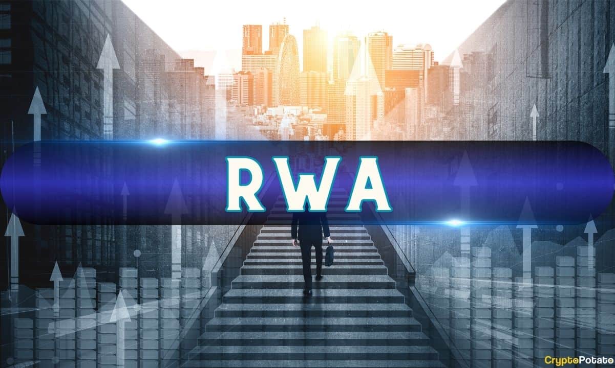 Forget Meme Coins: Tokenized Stocks and RWAs Are Becoming Fastest-Growing Categories