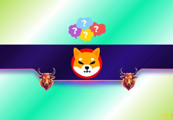 Key Shiba Inu Metric Plunges to a 5-Year Low: SHIB Price Rally on the Way?