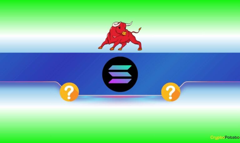 Solana (SOL) Bleeds Heavily, Yet Key Indicator Flashes a Buy Signal: Details