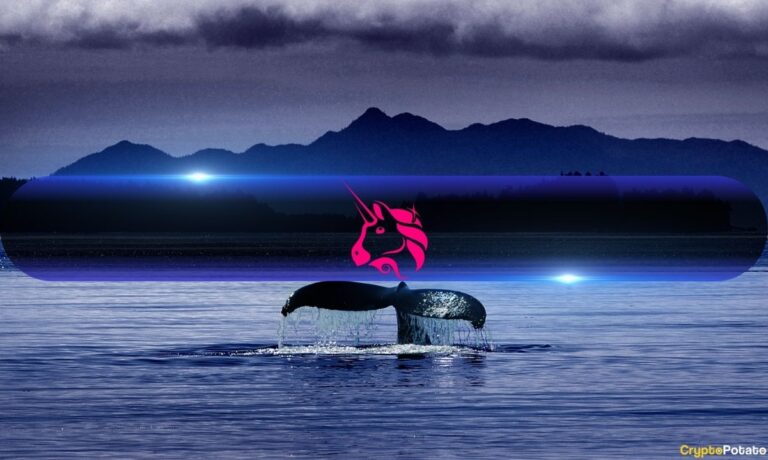 Uniswap Whale Activity Hits 7-Month Peak Following $100 Prediction