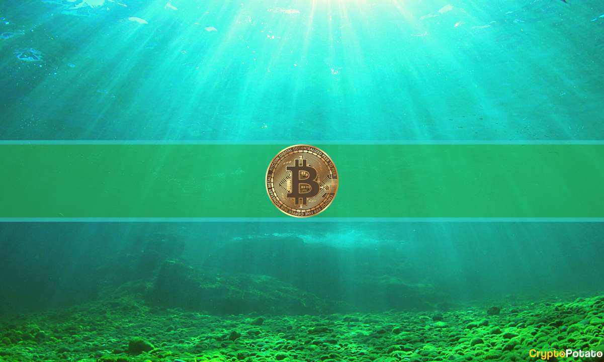 Major Bitcoin Demand Drop Sparks Debate Over Cycle Bottom Formation