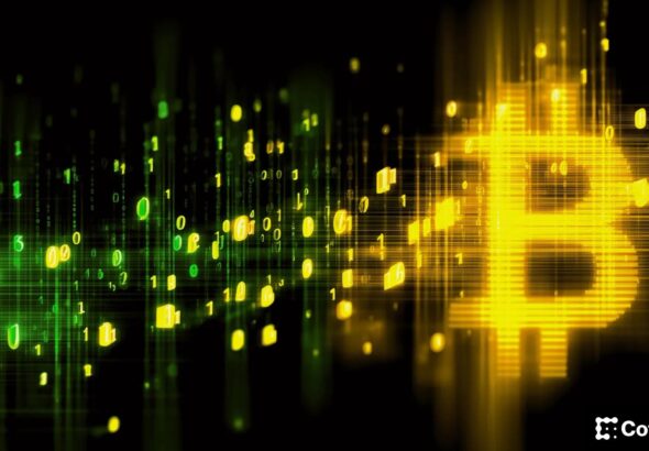 DOG Mode explains Bitcoin's next governance fight