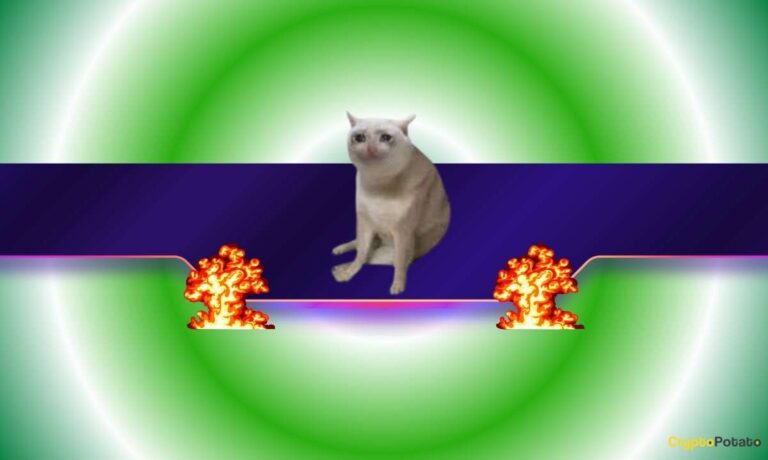 Viral Cat-Themed Meme Coin Explodes by 2,000% in a Week: What’s Behind the Madness?