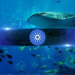 Whales Keep Loading Up on Cardano While Retail Dumps ADA