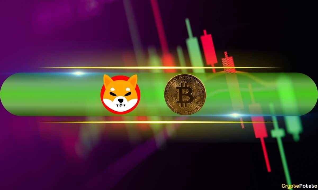 These Meme Coins Steal the Show as Bitcoin Defends $64K Support: Weekend Watch