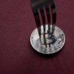 Bitcoin holders risk losing real BTC if they sell coins from BIP-110 fork, says developer