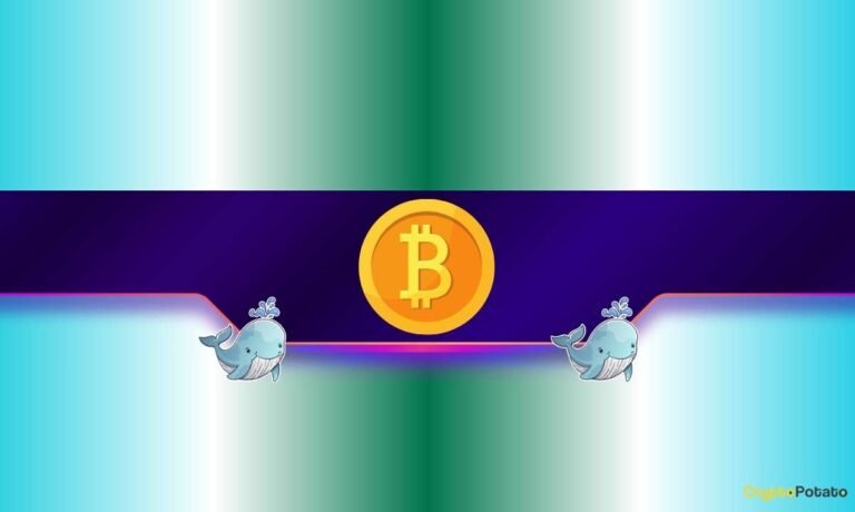 Bitcoin Whales Just Bought $3B in BTC: Why Analysts Still Warn of More Pain Ahead?