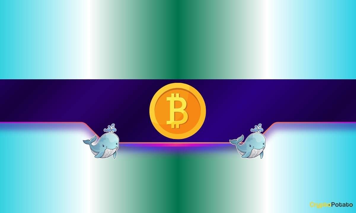 Bitcoin Whales Just Bought $3B in BTC: Why Analysts Still Warn of More Pain Ahead?