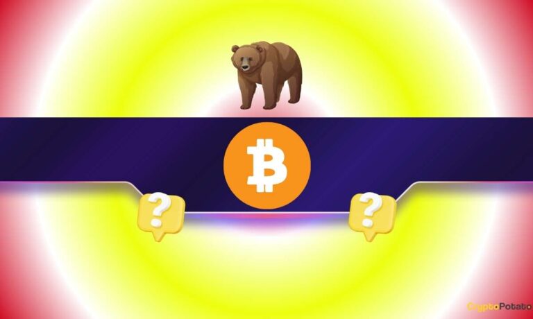 The Biggest Bitcoin Bear Keeps Adding to Their Short Position as BTC Price Slides Further