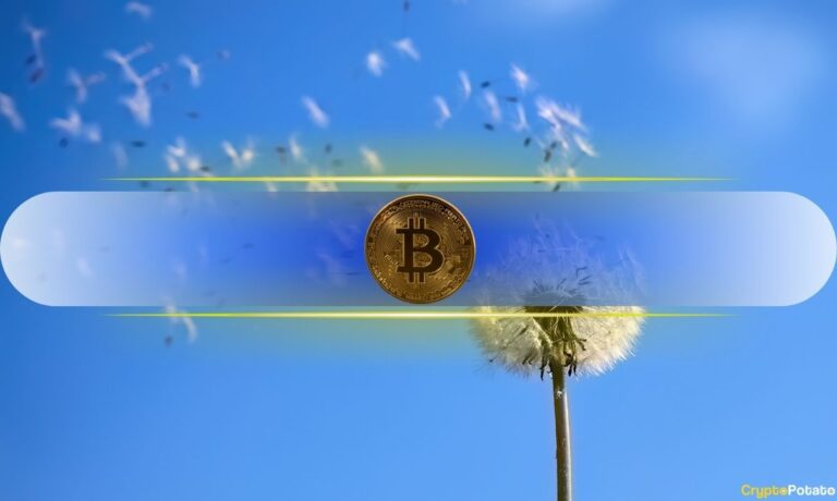 Bitcoin Holds Key Support as On-Chain Data Shows Fresh Accumulation