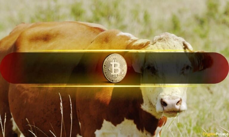 Bitcoin’s RSI Has Done This Only Near Major Bull Runs: Analyst