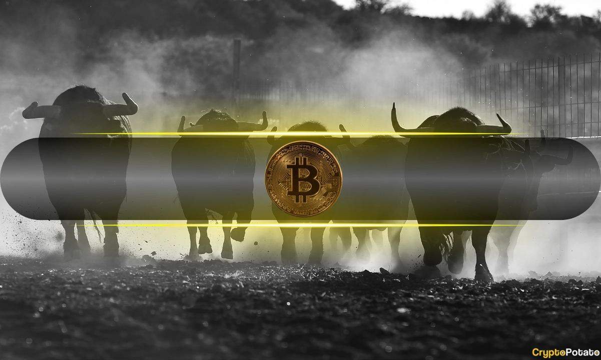 These Four Signals Could Confirm if Bitcoin’s Low Is Locked In: Analyst