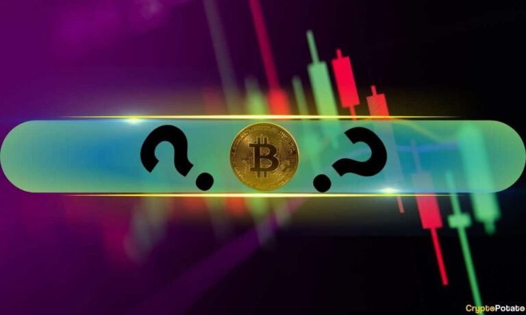 Viral Altcoin Explodes to New All-Time High, Bitcoin (BTC) Touched $65K: Market Watch