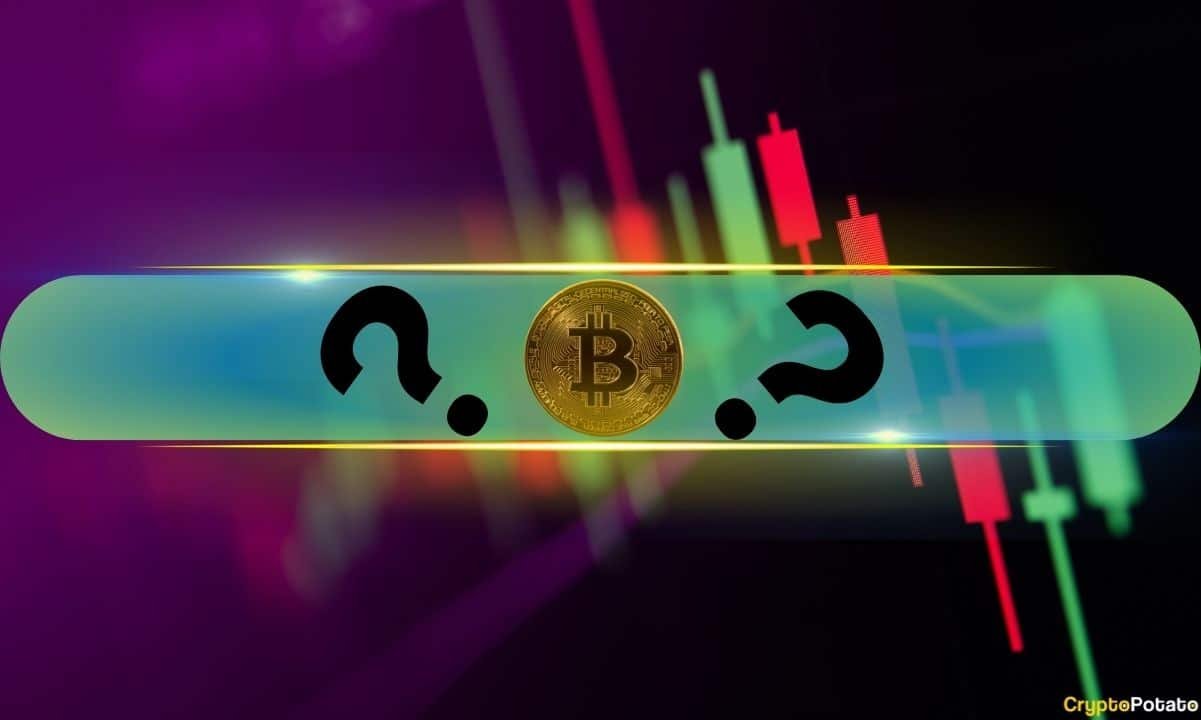Viral Altcoin Explodes to New All-Time High, Bitcoin (BTC) Touched $65K: Market Watch