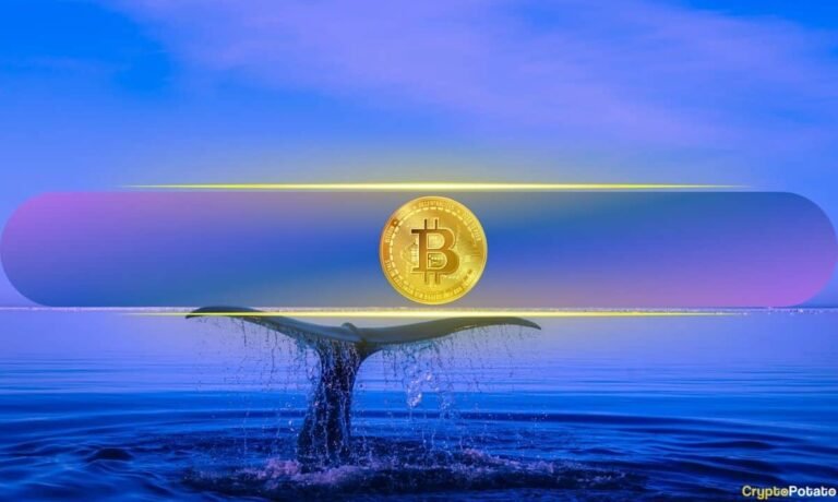 Bitcoin’s 12% God Candle: Did OG Whales Just Kickstart the Next Bull Market?