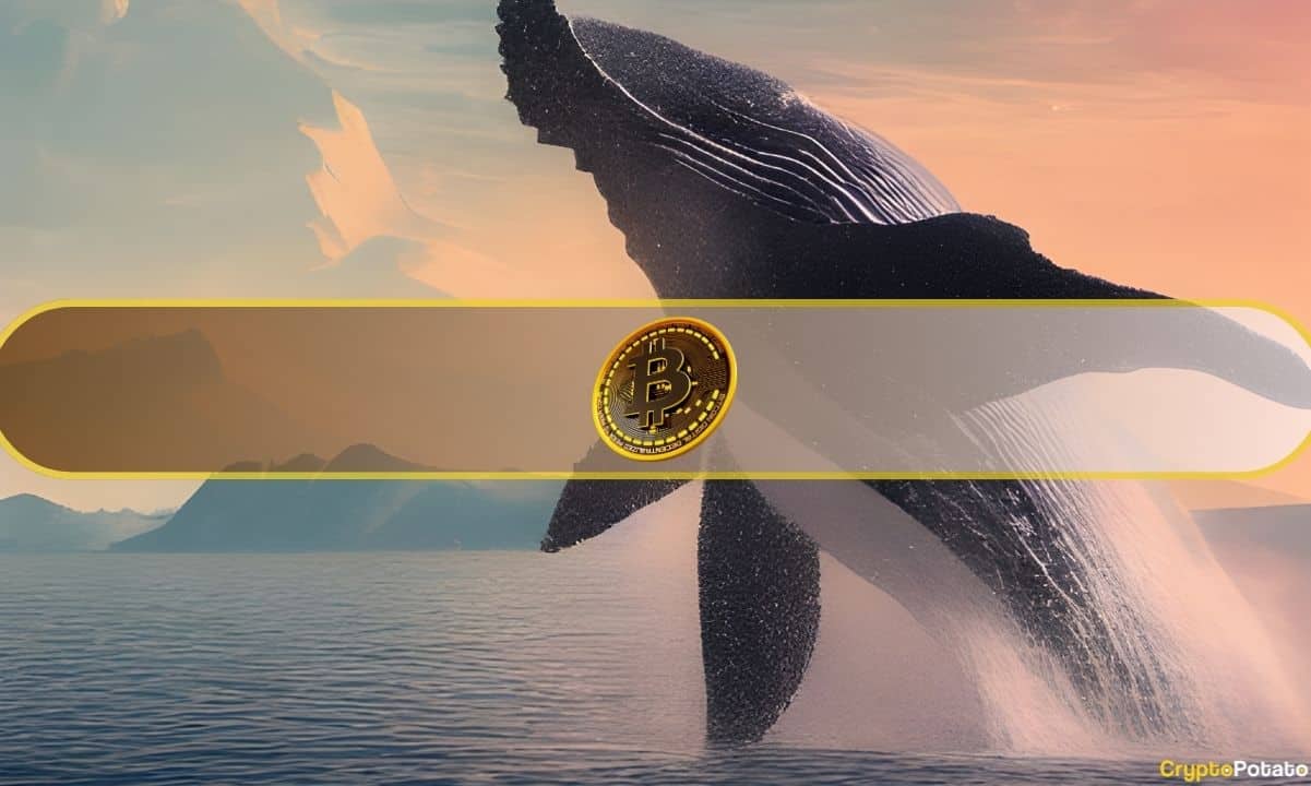 Bitcoin (BTC) Whales Are Moving Big as Coldcard Chaos Sends Shockwave