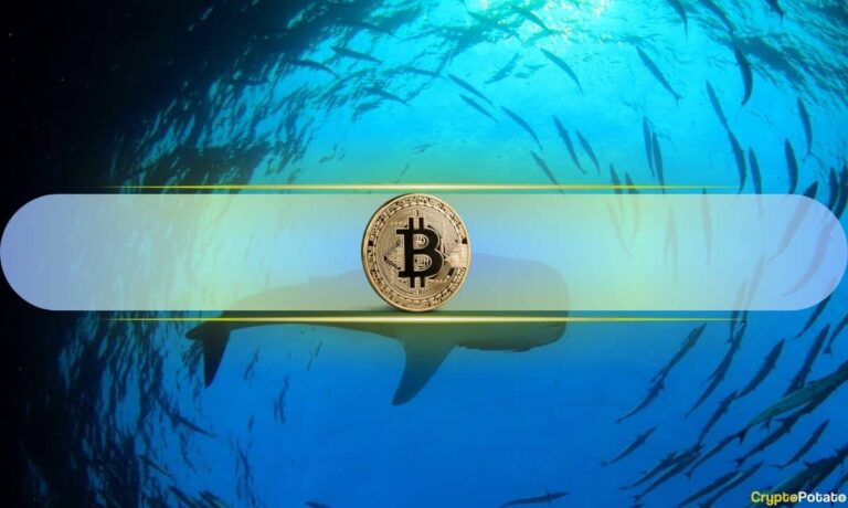 Only 90 Bitcoin Wallets Hold 10K+ BTC: And That Number Just Hit a 6-Month High