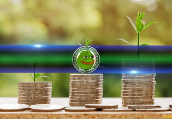 PEPE Supply on Exchanges Just Took a Massive Hit – What’s Next?