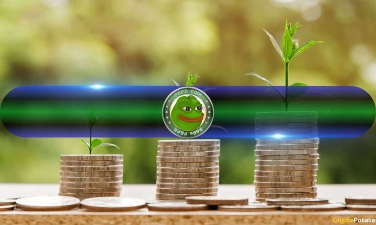 PEPE Supply on Exchanges Just Took a Massive Hit – What’s Next?