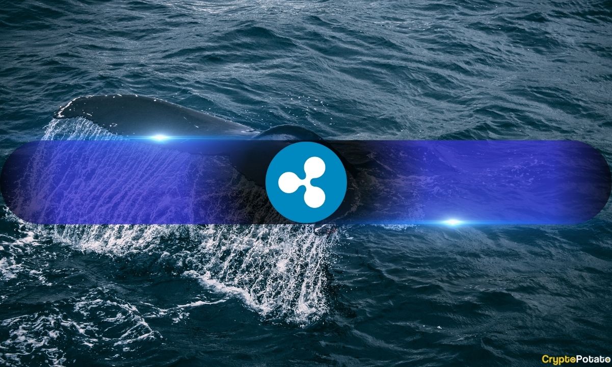 Ripple’s (XRP) Summer Slump Isn’t Stopping Large Wallets From Growing
