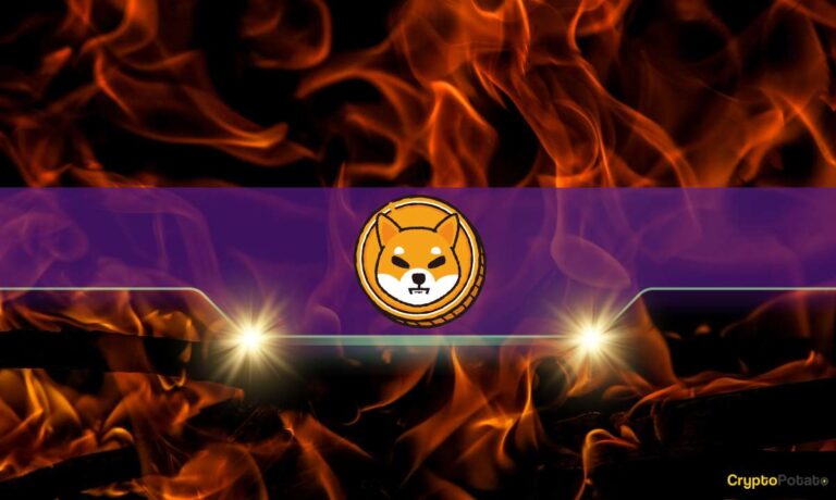 Shiba Inu Turns 6: Here’s How Many SHIB Tokens Were Burned in July