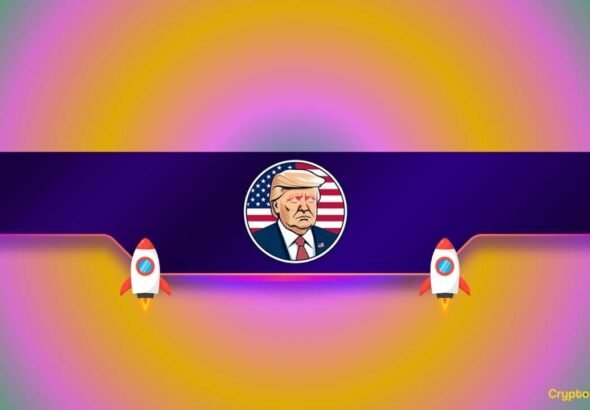 Meme Coin TRUMP Soars 20% Daily After a Major Announcement: What Are the Next Targets?