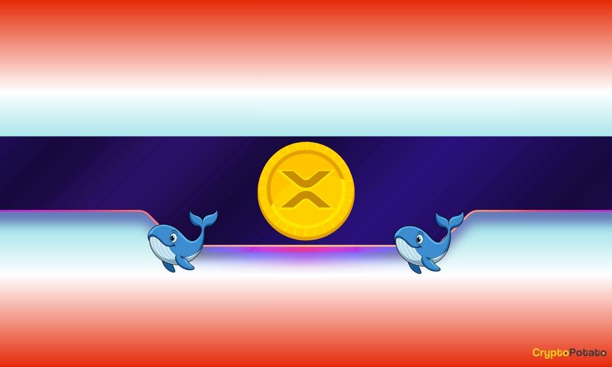 XRP Whale Activity Explodes 280% as Price Falls Below $1: What’s Going On?