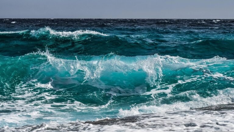 A $2 million bet on XRP volatility crosses the tape as prices surge