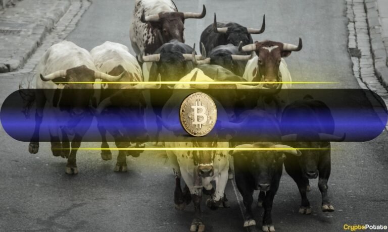 Bitcoin Just Hit 8 of 12 Capitulation Signals; VanEck Thinks the Pain May Be Nearing Its End