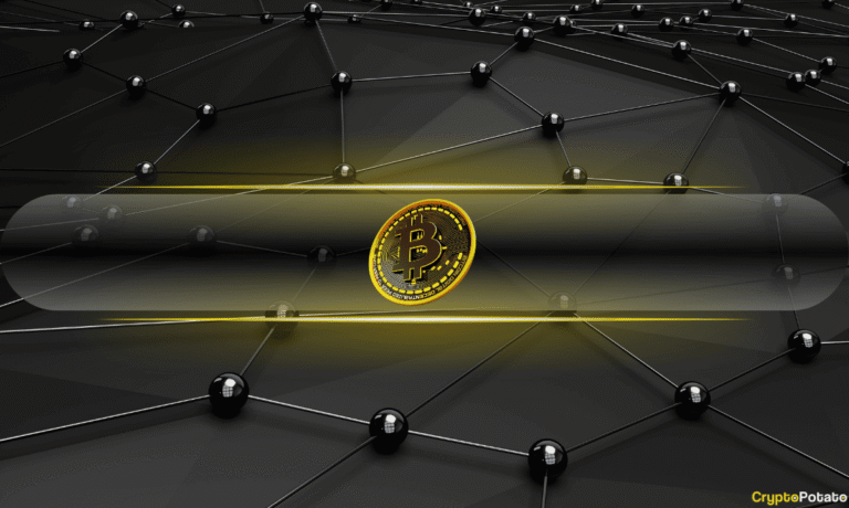 Micro Bitcoin (BTC) Holders Are Vanishing at the Fastest Pace Since December 2024