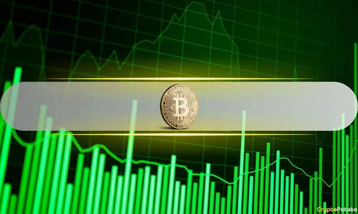 Bitcoin Smashes $80K as $260M in Shorts Get Wiped Out: Here Are the Next Targets
