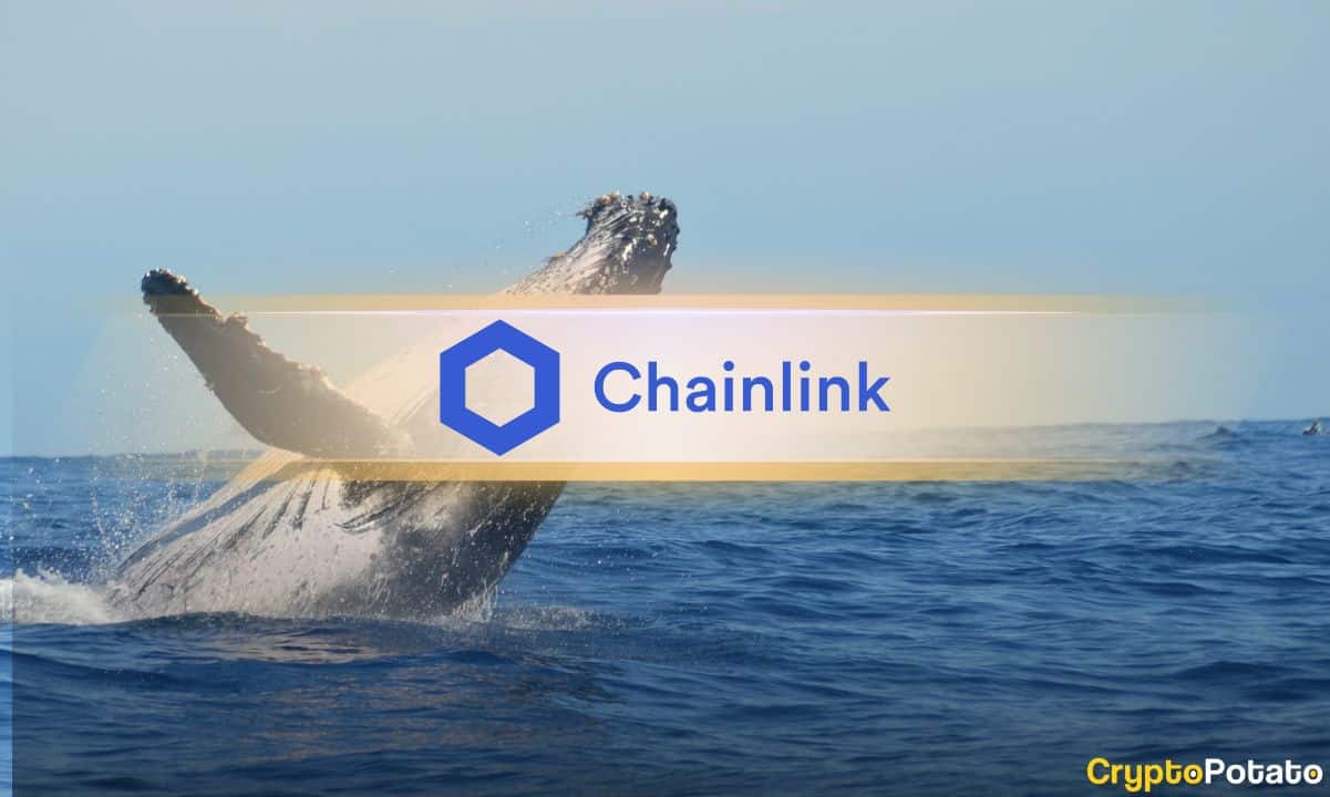 Chainlink Just Saw Its Biggest Exchange Outflow Since June – Bulls Are Watching