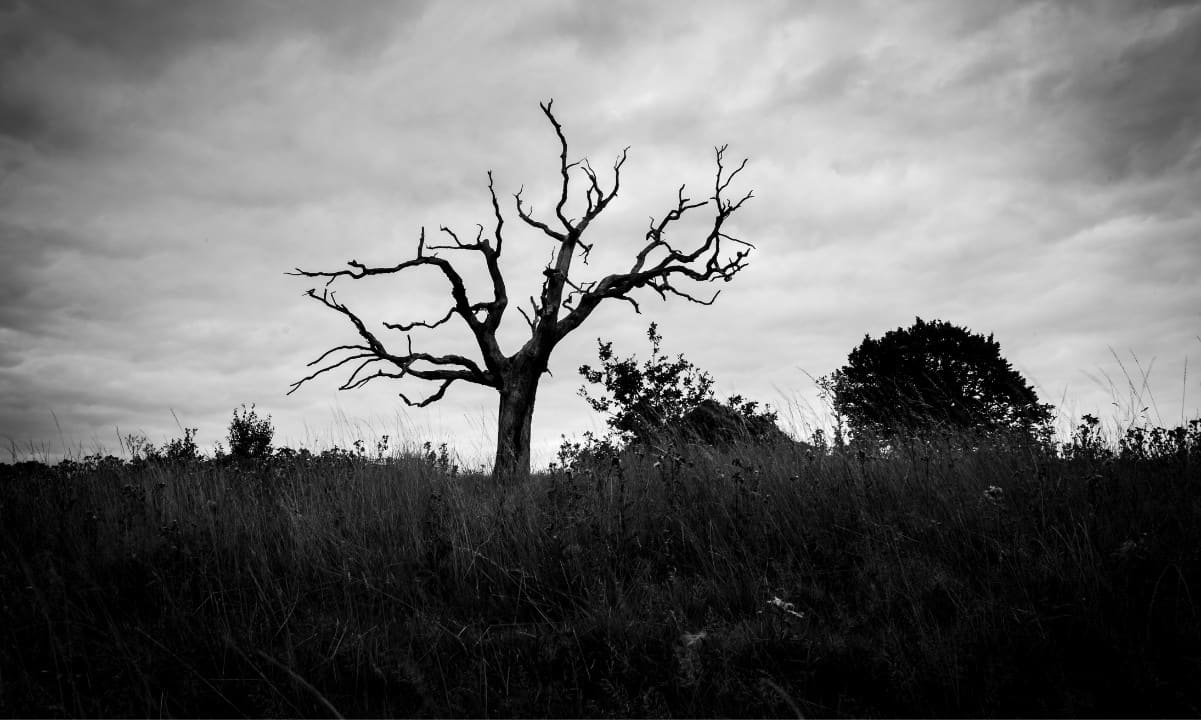 ‘Crypto Is Dead’ Talk Is Rising; Could Peak Fear Be a Contrarian Signal?