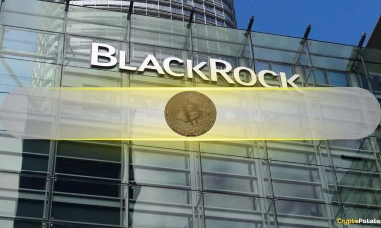 BlackRock Says Bitcoin’s 50% Plunge Didn’t Break Its Long-Term Investment Case