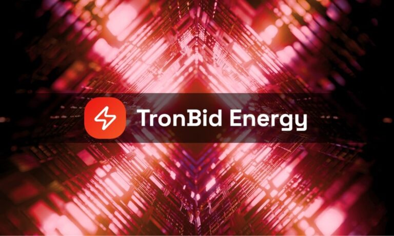 TronBid: A Flexible Marketplace to Rent and Sell TRON Energy