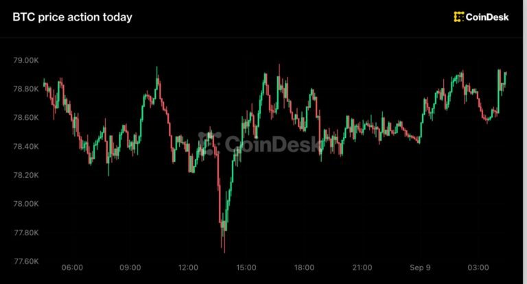 Bitcoin recovers toward $79,000 as Zcash records a $500 million ETF haul