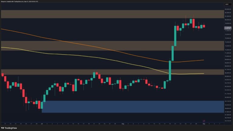 Bitcoin Price Analysis: Warning Signs Emerge as BTC’s Breakout Loses Momentum