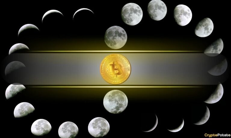 Bitcoin’s 4-Year Cycle Could Be Changing: Willy Woo Reveals What Could Replace It