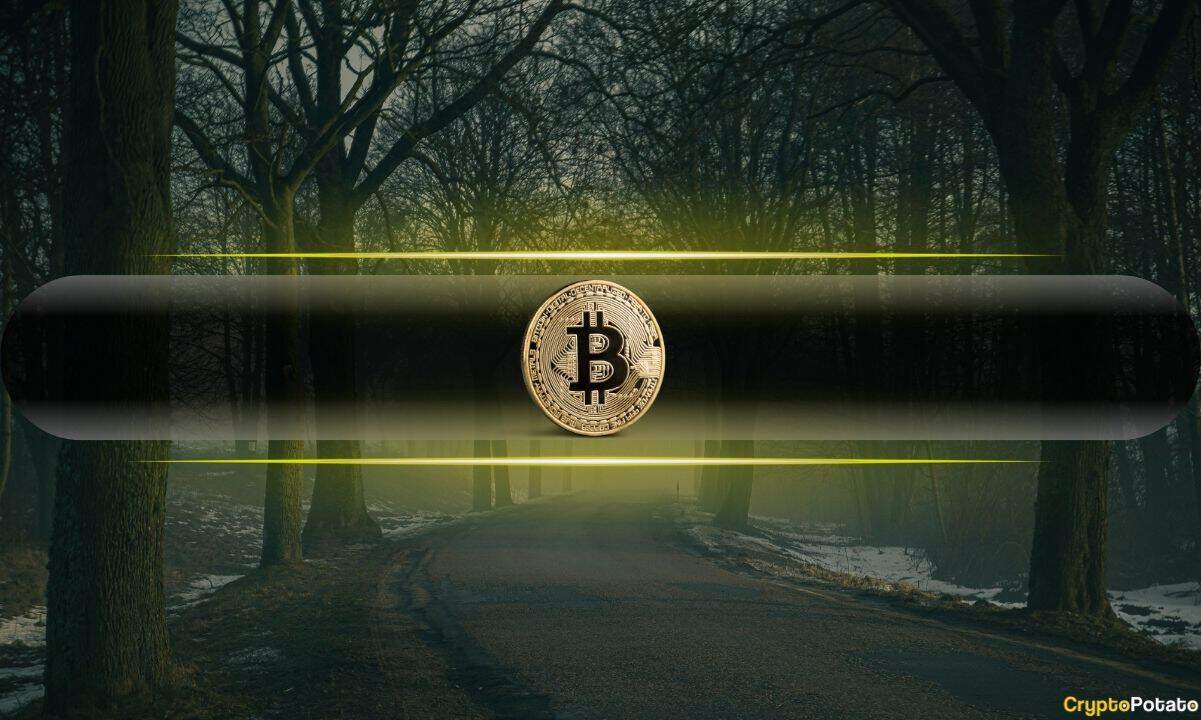 Bitcoin Holders Capitulate After CLARITY Act Failure: What the Data Shows