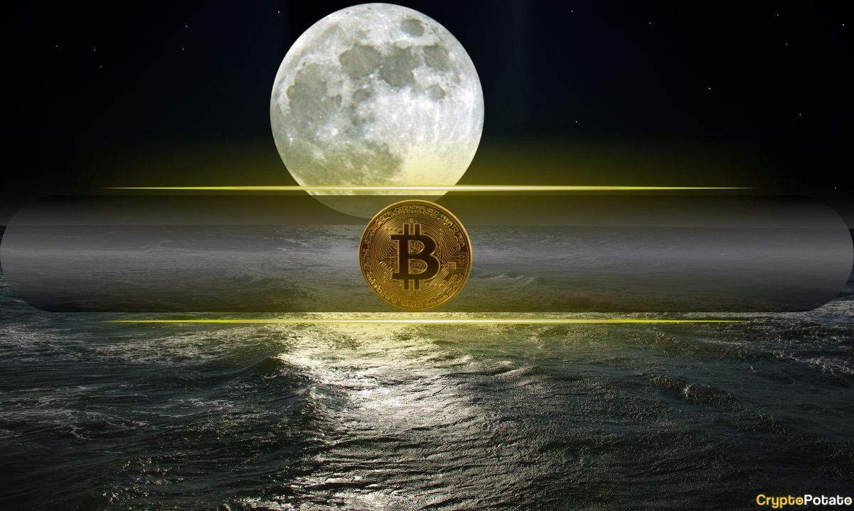 Bitcoin $215K Scenario Emerges as BTC Reclaims Key Market Levels