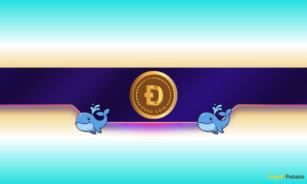 3 Reasons Why Dogecoin (DOGE) Is Ready for a Breakout