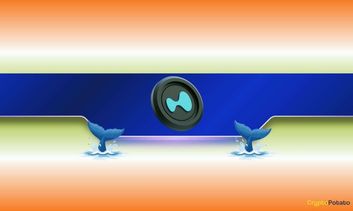 Hyperliquid (HYPE) Drops 5% – Could Whales Trigger an Even Bigger Sell-Off?